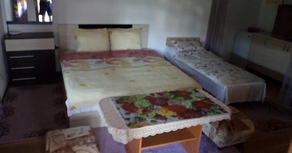 Apartments In Sunny Hill 3 Guest House 소조폴